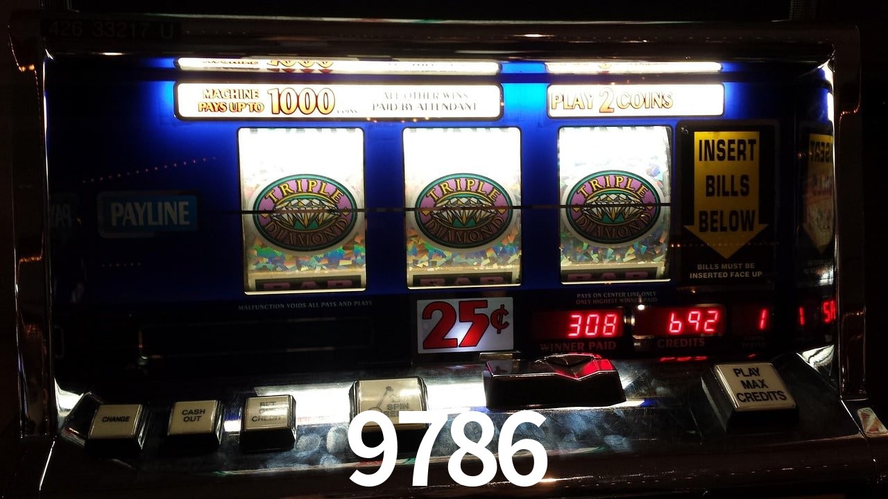 Experiência VIP 9786
